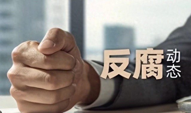 KaiyunSports-开云体育-李小林被查！铁血军魂不许玷污一声惊雷，又一只“老虎”应声落马
