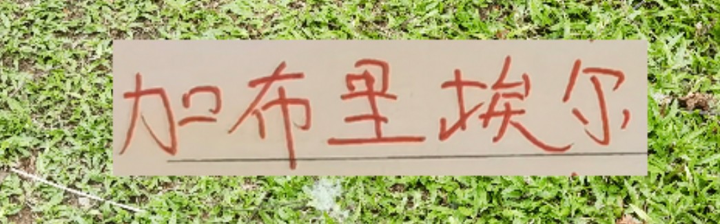 开云体育网页版入口-拦不住申花降维打击！加布里不管咋样也是 低配版海港巴尔加斯