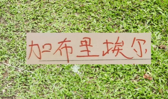 开云体育网页版入口-拦不住申花降维打击！加布里不管咋样也是 低配版海港巴尔加斯